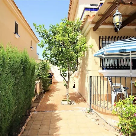 Best House Golden Zenia *
