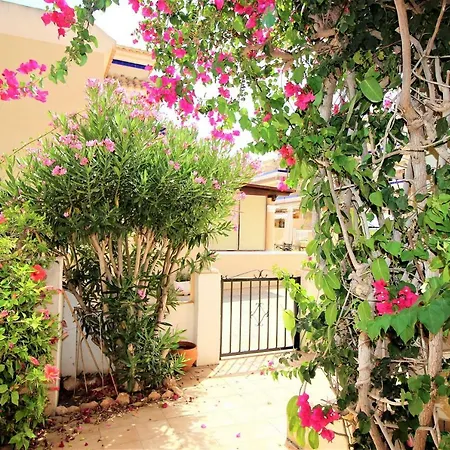 Best House Golden Zenia Сasa de vacaciones Playa Flamenca